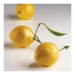 Online PAVONI Moule Silicone 8 Citrons 85 ml Cédric Grolet