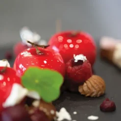 Online SILIKOMART Moule Silicone 15 Mini Pommes Ø39 x h30 mm 30ml Professional