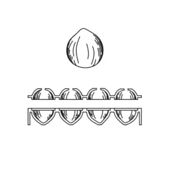 Outlet PAVONI Moule Silicone 8 Noisettes 82 ml Cédric Grolet