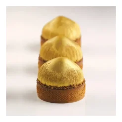 New PAVONI Moule Silicone 20 Noisettes 65 ml Cédric Grolet