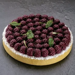 Best PAVONI Moule Silicone Décor Mûres Ø 18 cm x H 2,2 cm