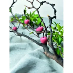 Best PAVONI Moule Silicone Gourmand Cerise Ø 2,6 x H 1,2 cm (x35)