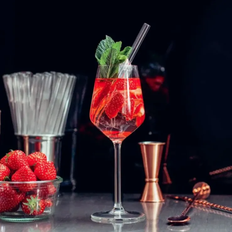 Sale CUISINEADDICT Paille Réutilisable en Verre 20cm droite x6 HALM