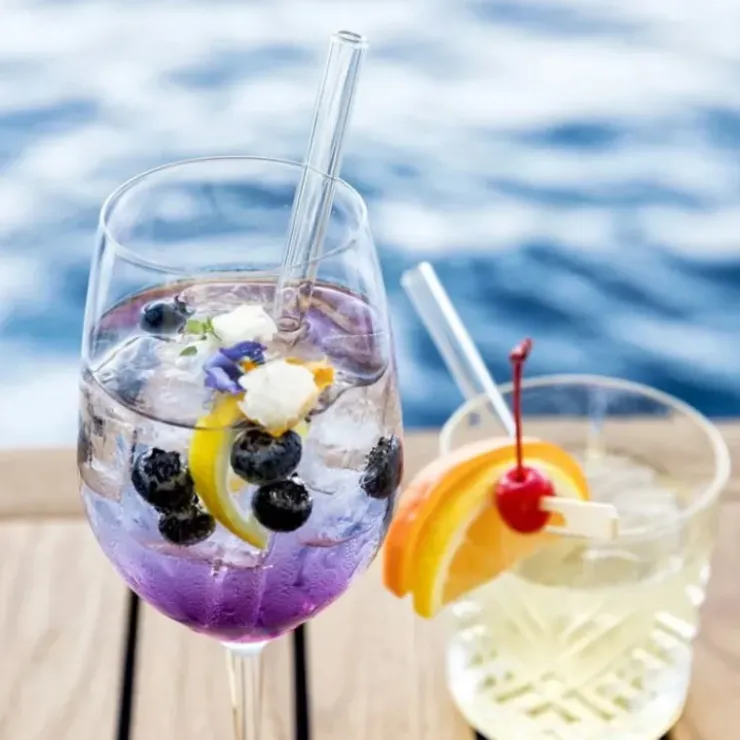 Sale CUISINEADDICT Paille Réutilisable en Verre 20cm droite x6 HALM