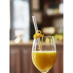 Sale CUISINEADDICT Paille Réutilisable en Verre 20cm droite x6 HALM