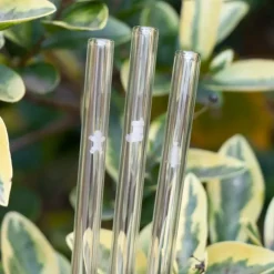 New CUISINEADDICT Paille Réutilisable en Verre Noël 20cm droite x6 HALM
