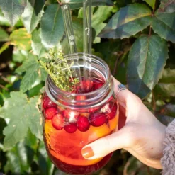 New CUISINEADDICT Paille Réutilisable en Verre Noël 20cm droite x6 HALM