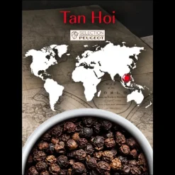 Discount PEUGEOT Poivre Noir du Vietnam Tan Hoi Sachet 20 g (x7)