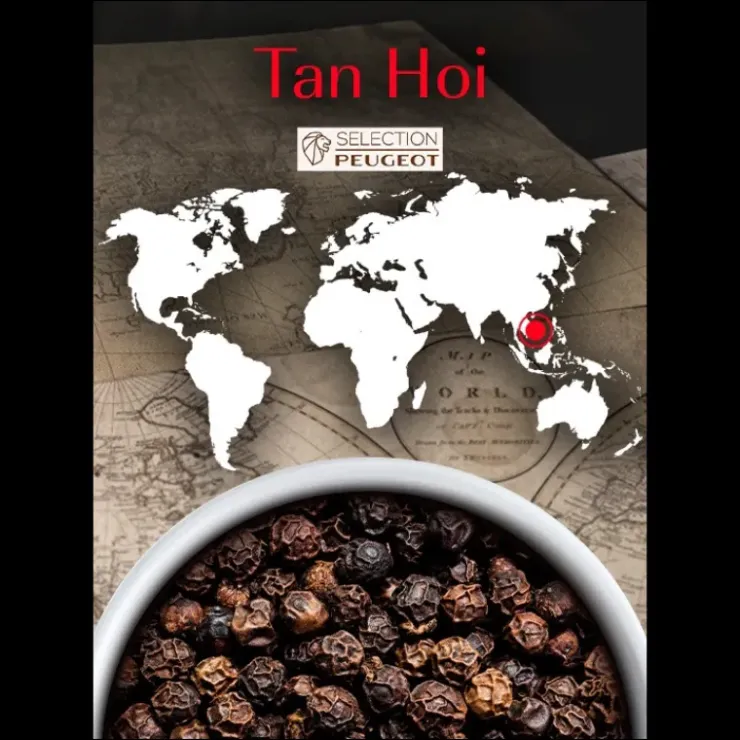PEUGEOT Poivre Noir du Vietnam Tan Hoi Sachet 20 g (x4)