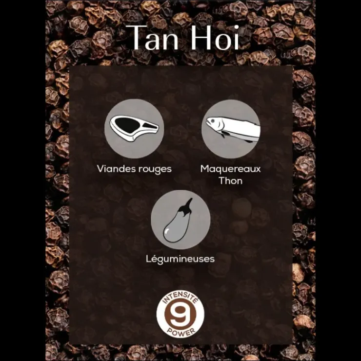 PEUGEOT Poivre Noir du Vietnam Tan Hoi Sachet 20 g (x4)