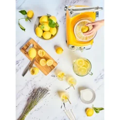 Outlet ANKARSRUM Presse Agrumes pour le robot culinaire