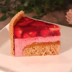 Best PATISDECOR Préparation Bavarois Gel Fraise 100 g Patisdécor