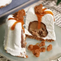 Outlet PATISDECOR Préparation Bavarois Neutre 100 g Patisdécor