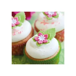 Outlet FUNCAKES Préparation pour Cupcakes Sans Gluten 500 g