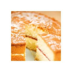 Best FUNCAKES Préparation pour Sponge Cake Sans Gluten 500 g