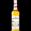 Outlet MONIN Sirop Fleur de Sureau 70 cl
