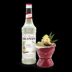 Outlet MONIN Sirop Gingembre 70 cl