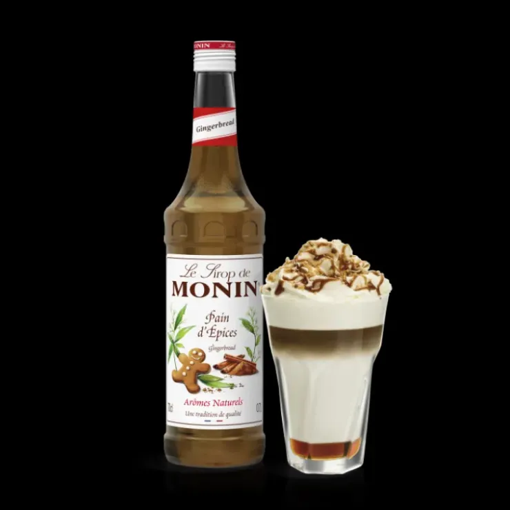 Hot MONIN Sirop Pain d'Épices 70 cl