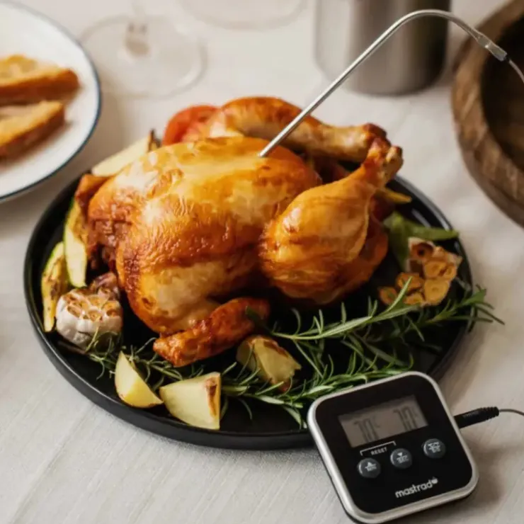 MASTRAD Thermomètre Cuisson à Sonde Inox M Square