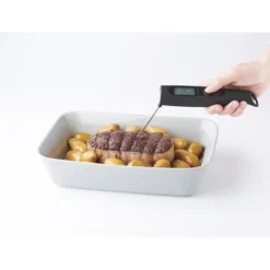 Clearance MASTRAD Thermomètre de Cuisine Double Sonde Noir M° Control