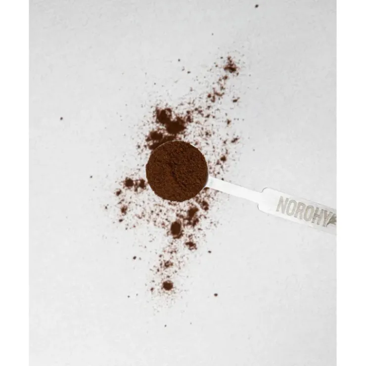 NOROHY Vanille en Poudre Bio 100 g
